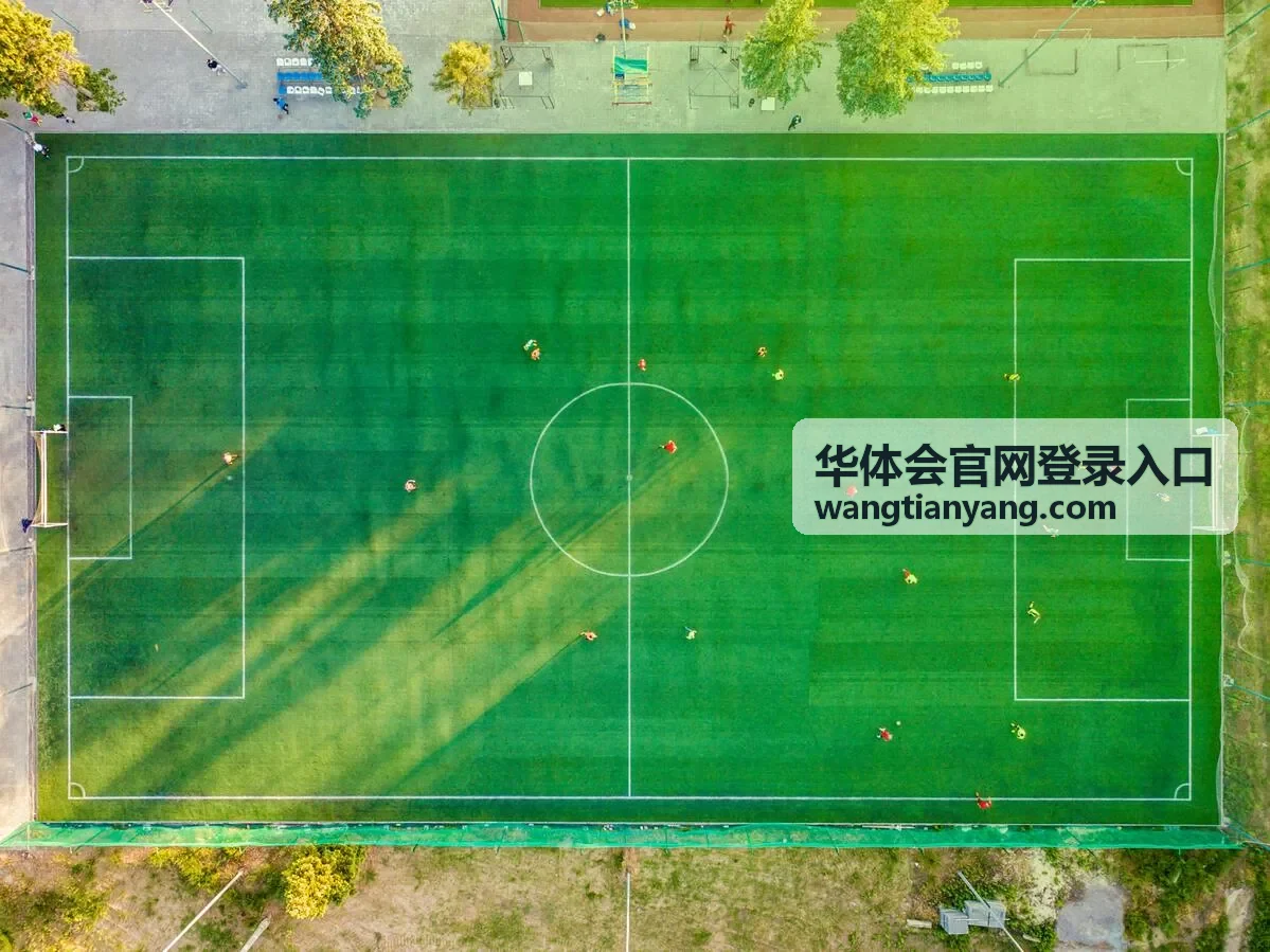 华体会官网登录入口数据观察封面三