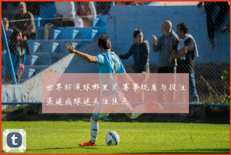 世界杯滚球哪里买 赛事观看与投注渠道成球迷关注焦点