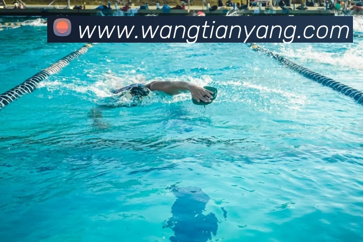 世界杯开户平台服务体系